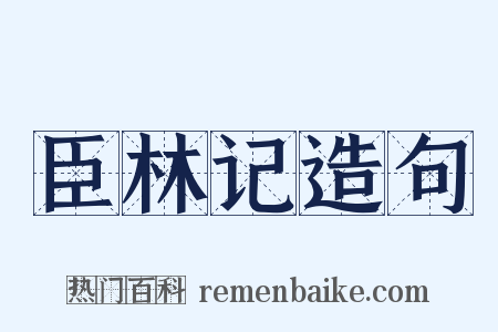 臣林记造句是什么意思的图片